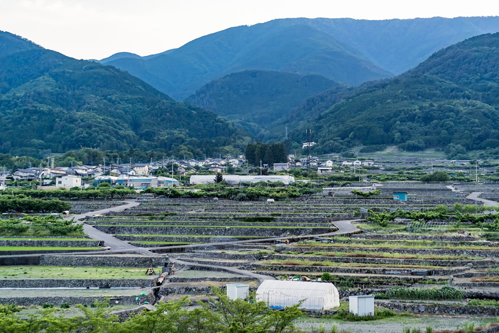 お試し滞在補助金交付制度