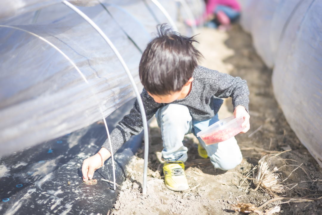 古川さんのお子様たち