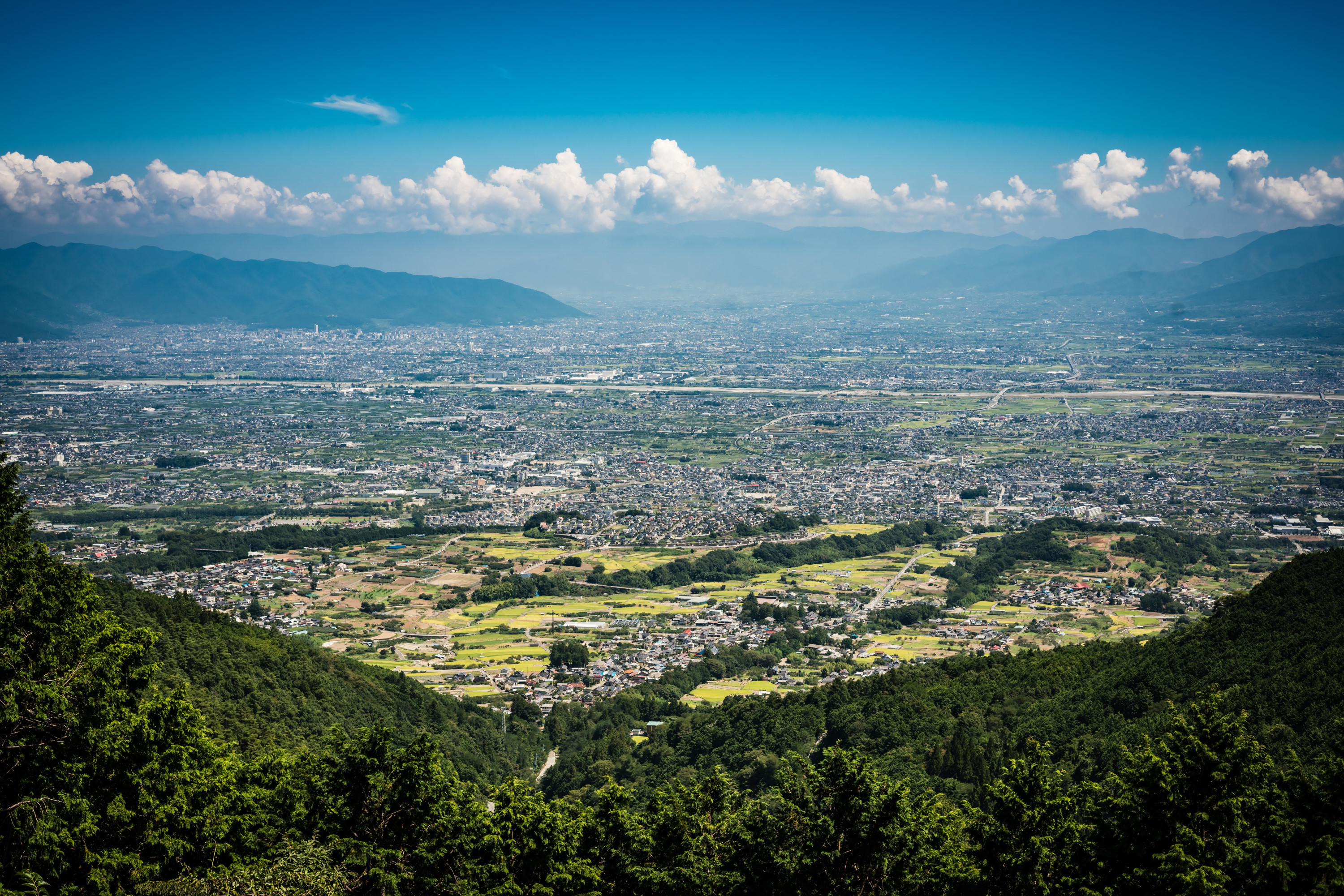 県民の森.JPG