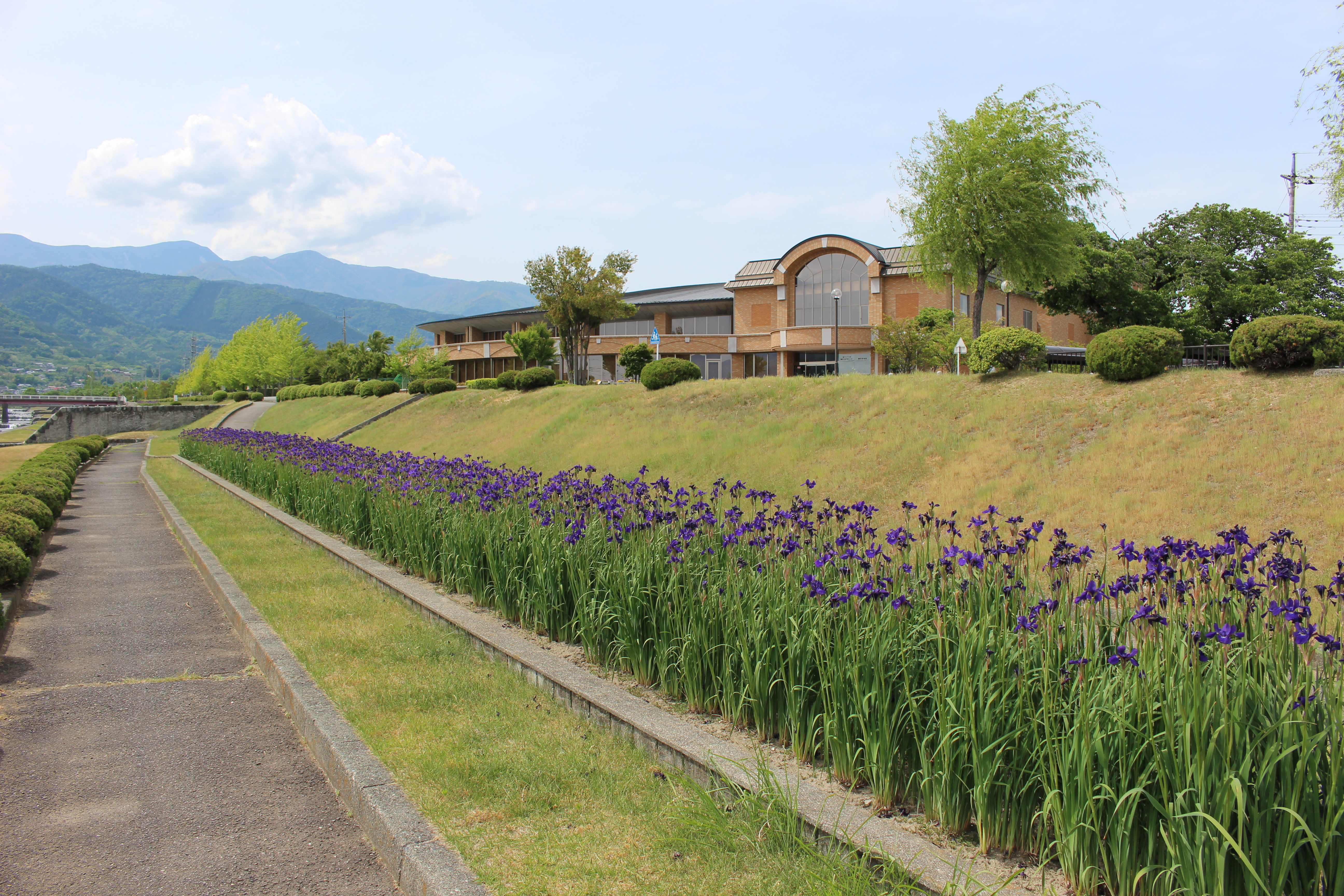 市立図書館と滝沢川公園.JPG