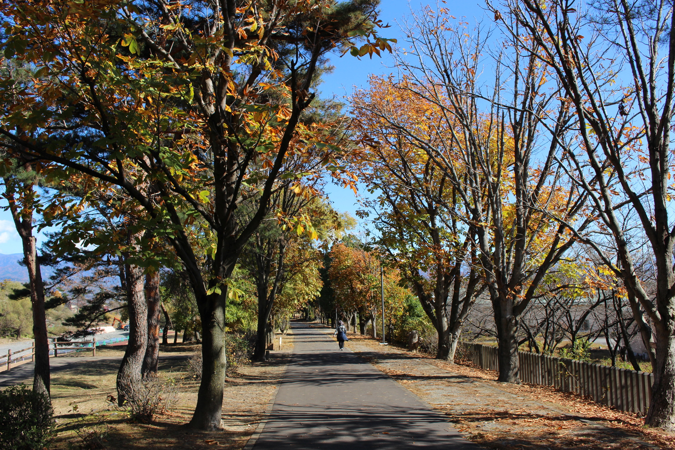 御勅使公園.JPG