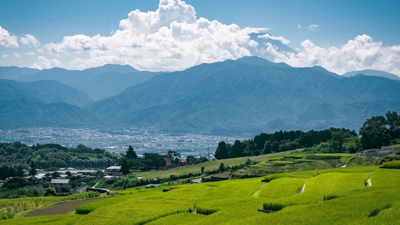 南アルプス商工業・しごと応援ナビ-03-中野の棚田