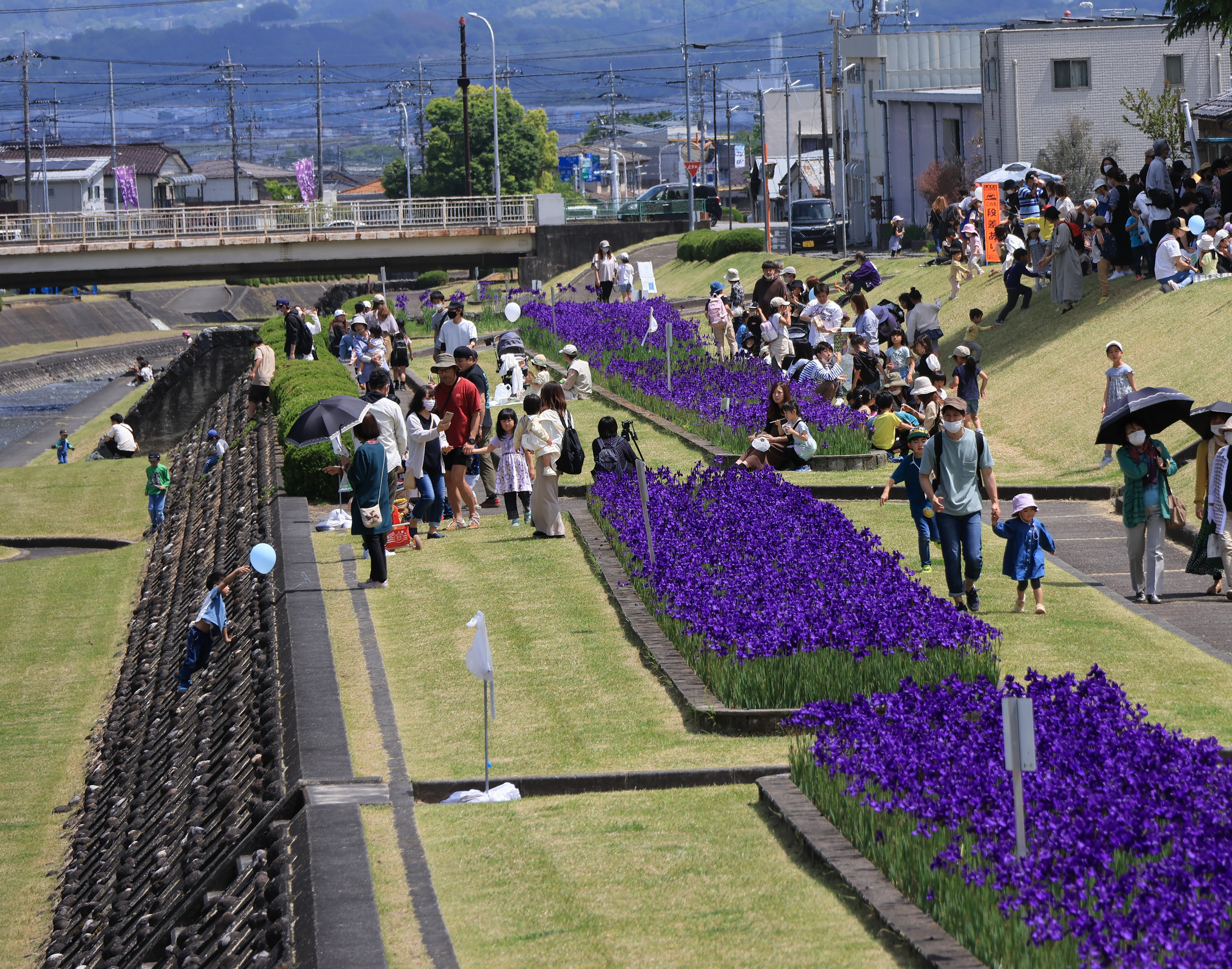 花壇ボランティアを募集していますイメージ