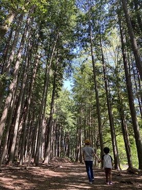 52 木々に囲まれて.jpg