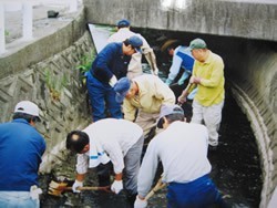 河川清掃の様子3