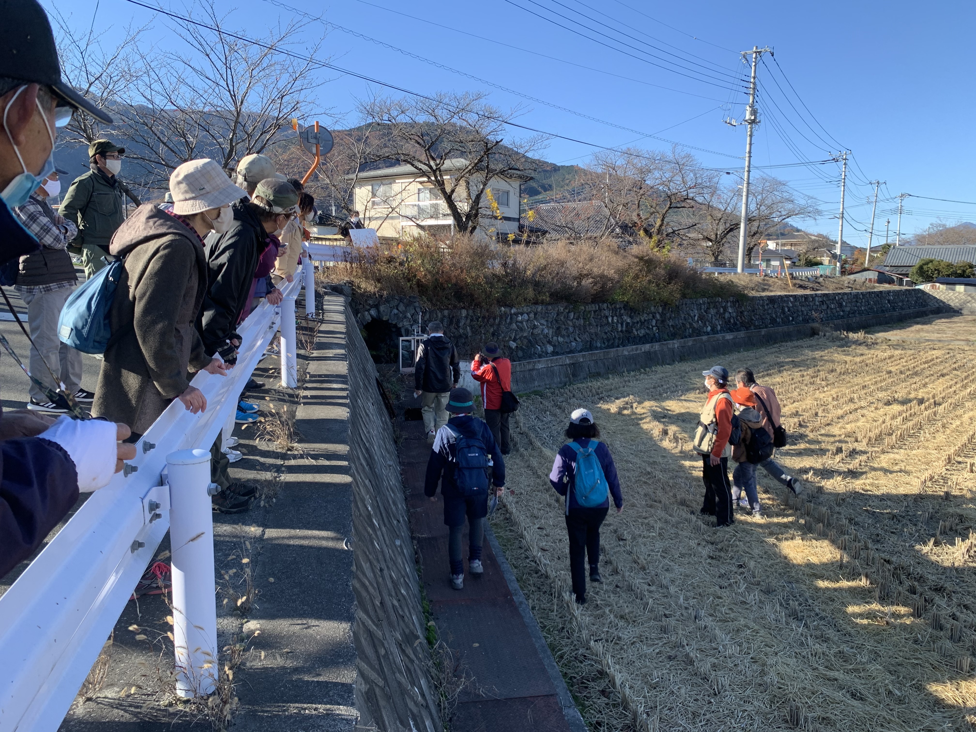 徳島堰有野石積み.JPG