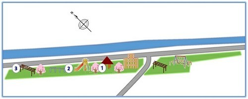 下高砂農村公園(下高砂宮東地区)の桜スポット３箇所