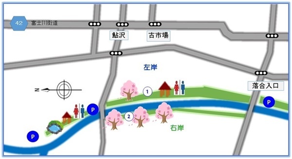 坪川公園(落合209-2～川上480-5)の坪川河川沿いには桜スポット2箇所